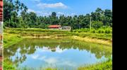 Top Sakleshpur