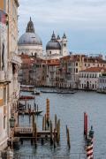 Top Venice