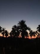 Top Zihuatanejo