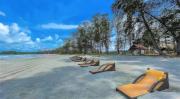 Top Bandar Penawar