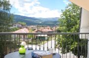 Top Berkovitsa