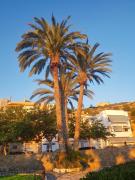 Top San Juan de los Terreros