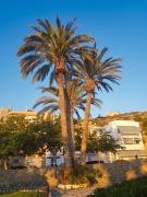 Top San Juan de los Terreros
