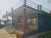 Top Suryanelli