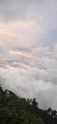 Top Suryanelli