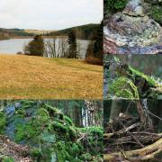 Top Ilsenburg Top Ilsenburg