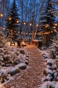 Top Haliburton