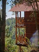 Cabaña en el Bosque de San José del Pacífico 3