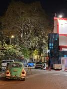 Top Tirana