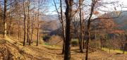 Top Bibbiena