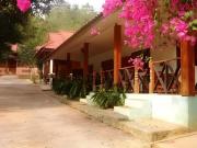 Top Golden Triangle