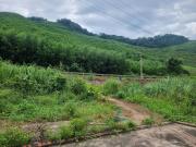 Top Quảng La