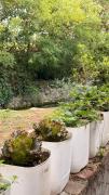 Top Corticelle Pieve