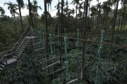 Top Mudigere