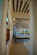 Top Lamu