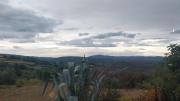 Top Monterotondo