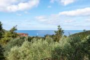 Top Cavo