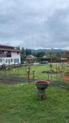 Top Breaza