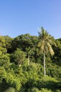 Top Phu Quoc Top Phu Quoc