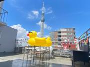 Top Tokyo Top Tokyo