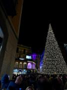 Top Salerno