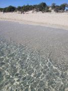Top Porto Cesareo