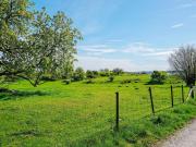 Top Adelsö
