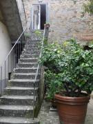 Top Cortona