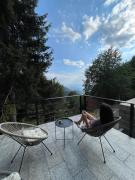 Top Kopaonik