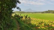 Top Kalpetta