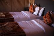 Desert Aura Luxury Camp