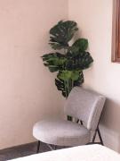 Top Brisas de Zicatela