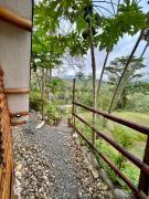 Top Bagazal