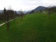 Top Tolmin