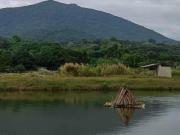 Top Arayat Top Arayat