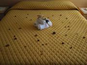 Top Terranova di Pollino