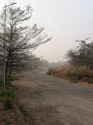 Top Vangani