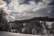 Top Maciejowiec