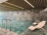 Japandi Luxury Apartment - Business & Family Stay with Spa & Pool
