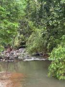 Top Calicut