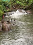 Top Calicut