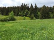 Top Horní Malá Úpa Top Horní Malá Úpa