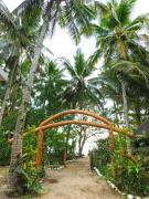 Top Sipalay