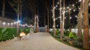 Top Da Lat