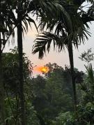 Top Wayanad