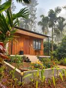 Top Wayanad