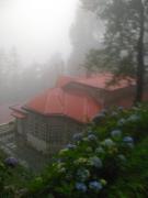 Top Shimla