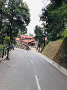 Top Shimla