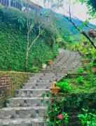 Top Tả Van