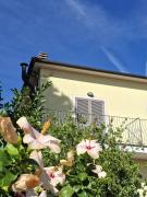 Top Porto Azzurro